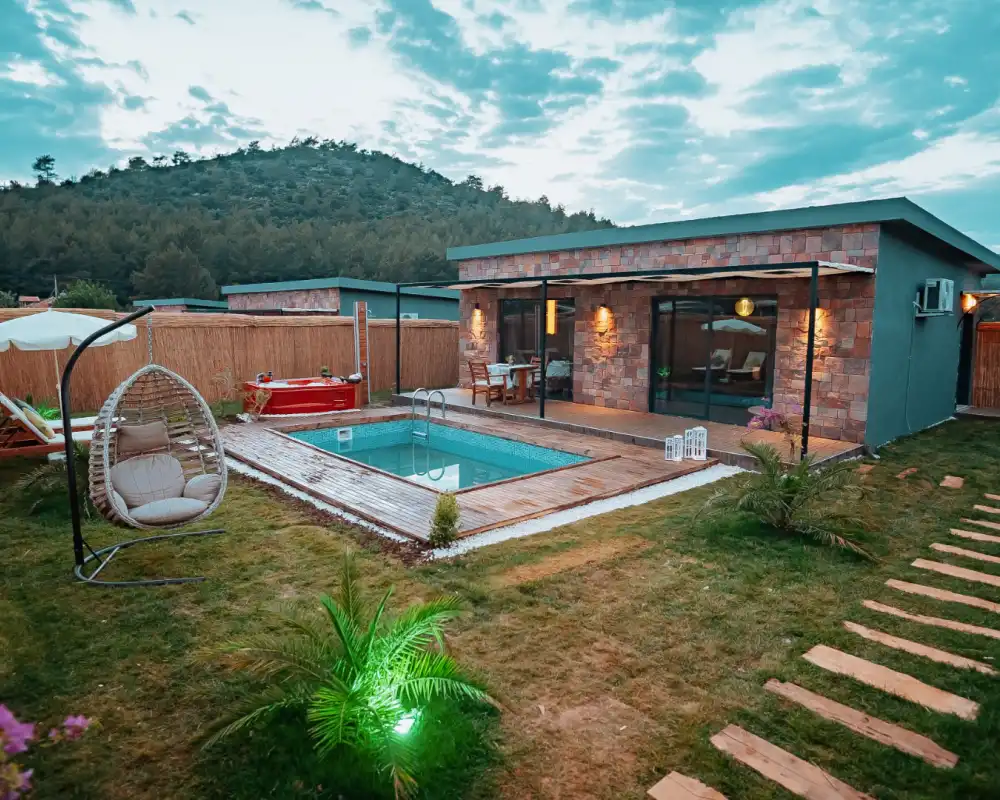 view-image