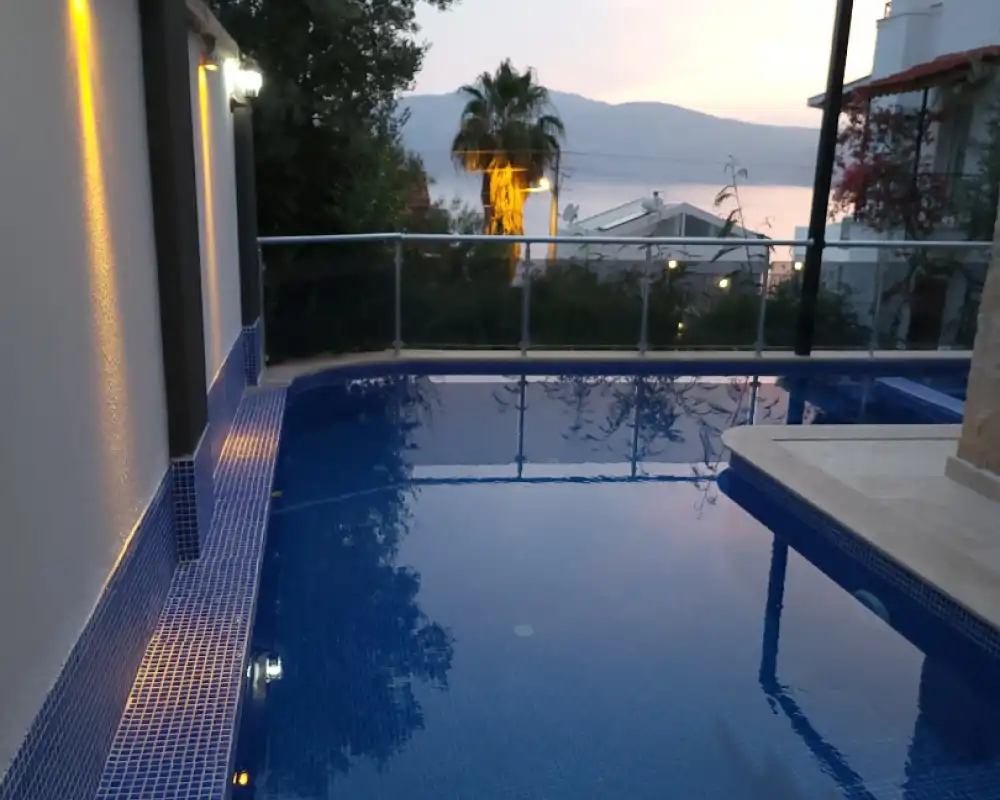 view-image