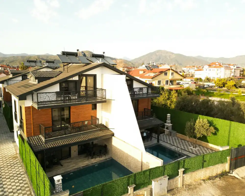 view-image