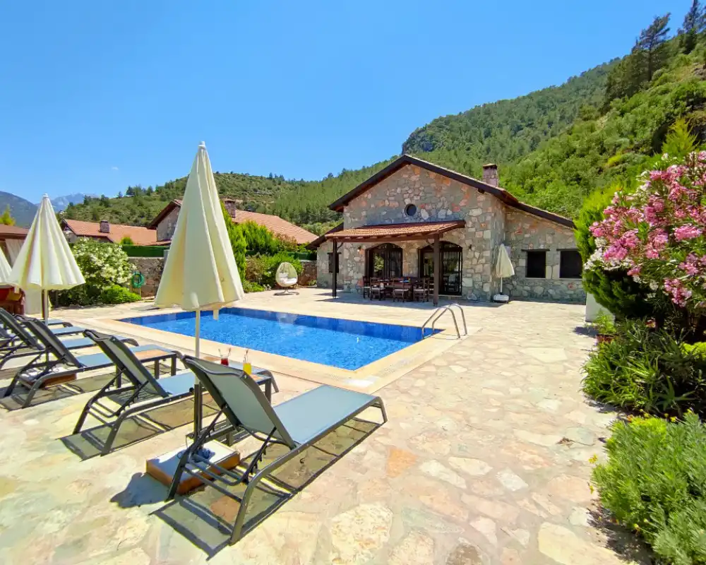 view-image