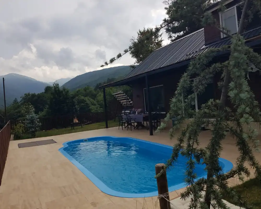view-image
