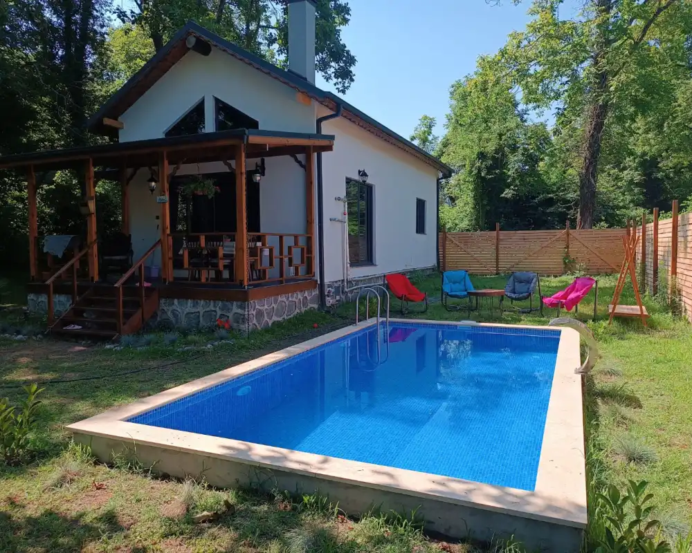 view-image