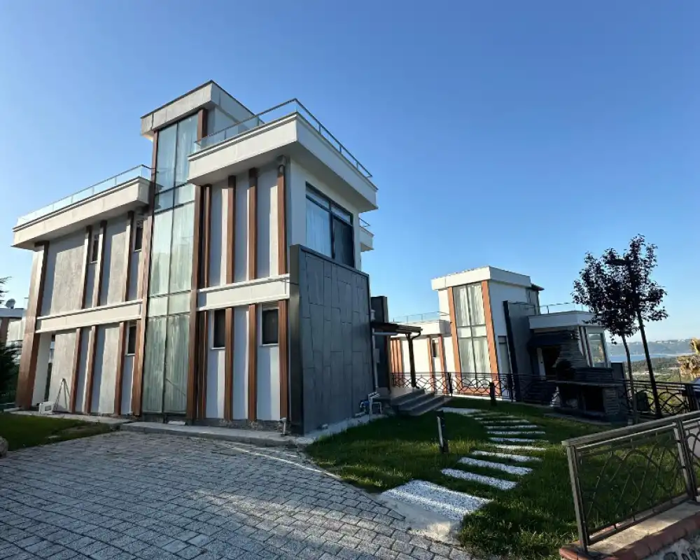 view-image