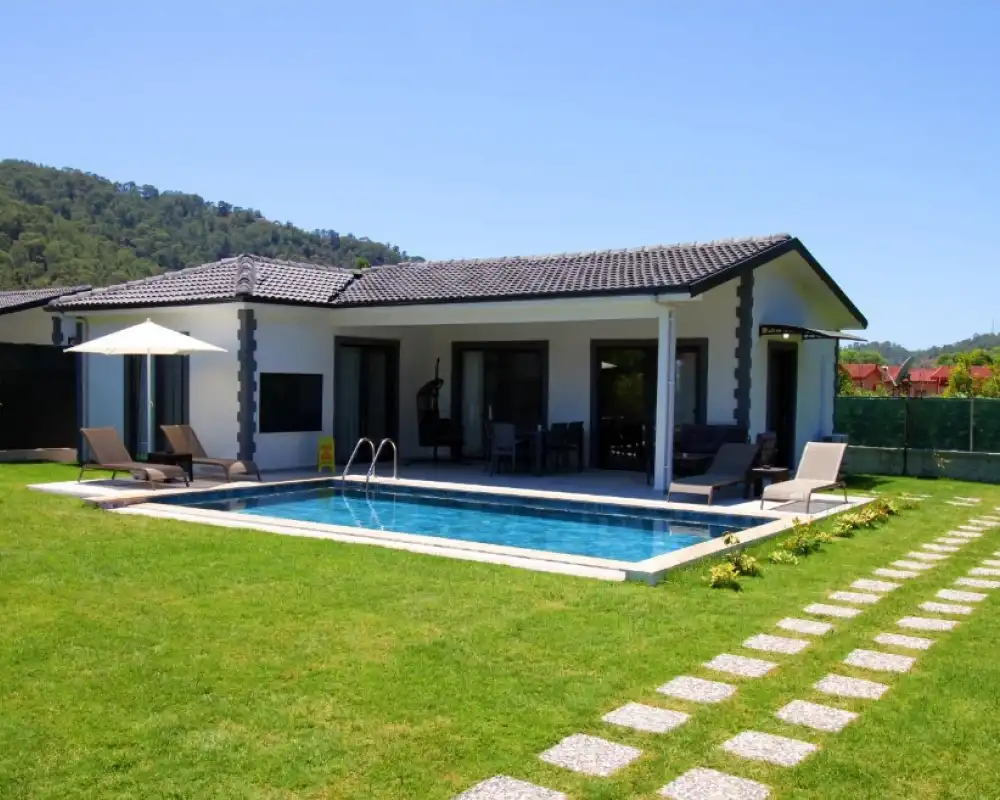 view-image