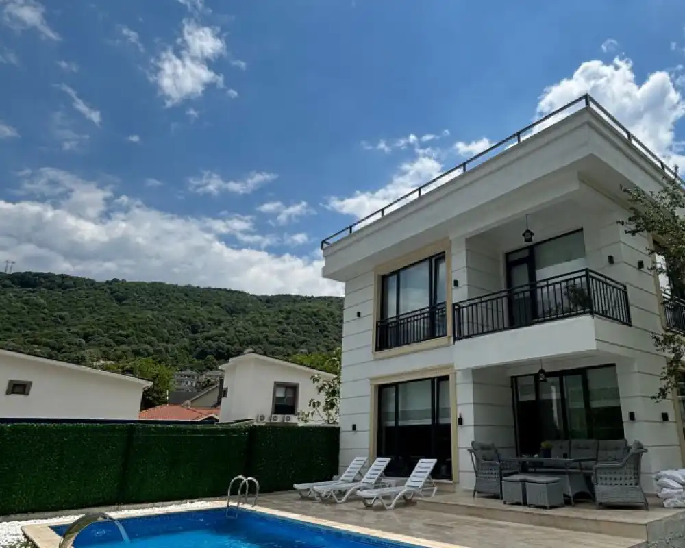 view-image
