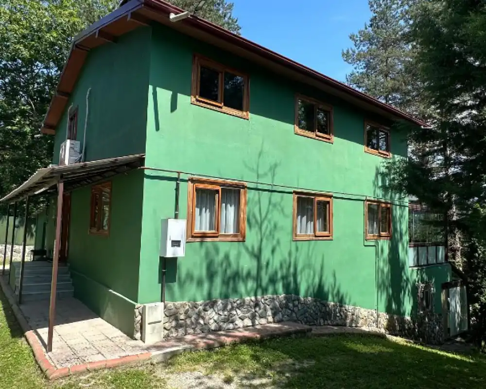 view-image