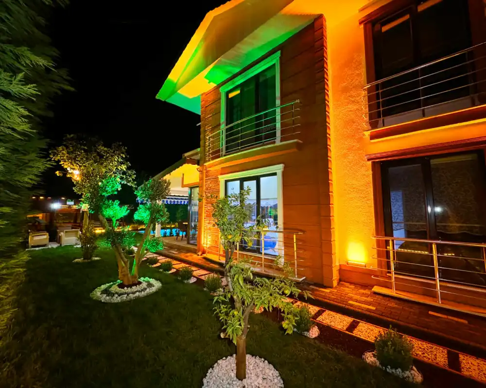 view-image