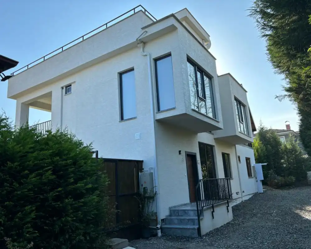 view-image