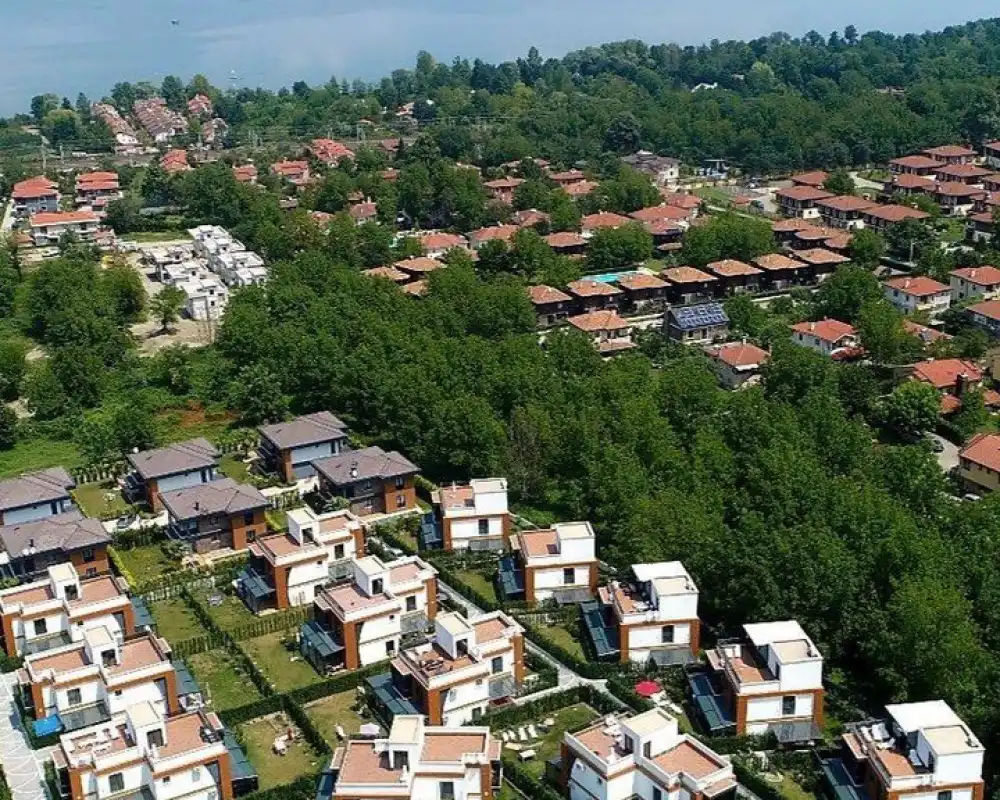 view-image