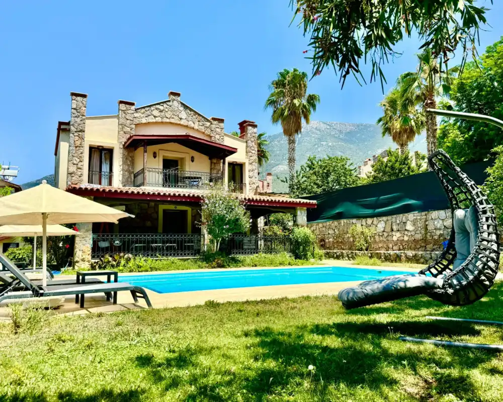 view-image