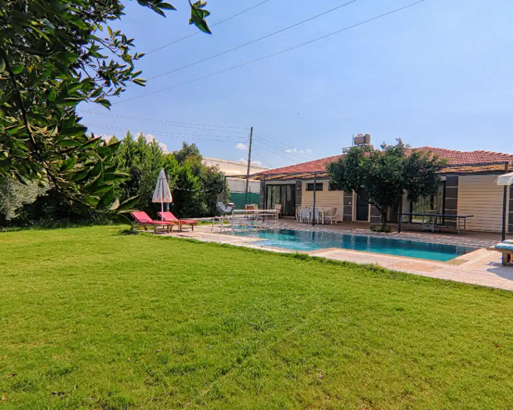 view-image