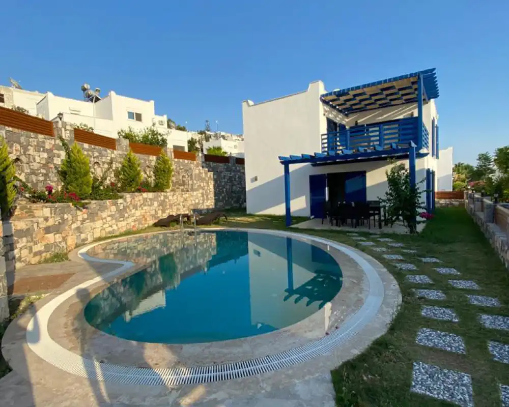 view-image