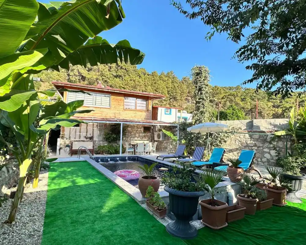 view-image