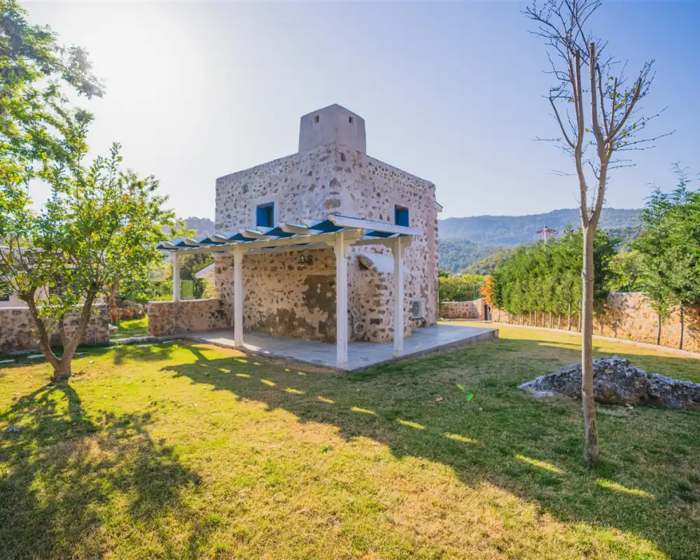 view-image