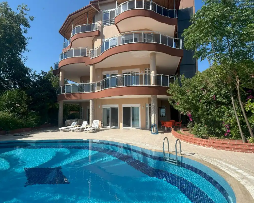view-image