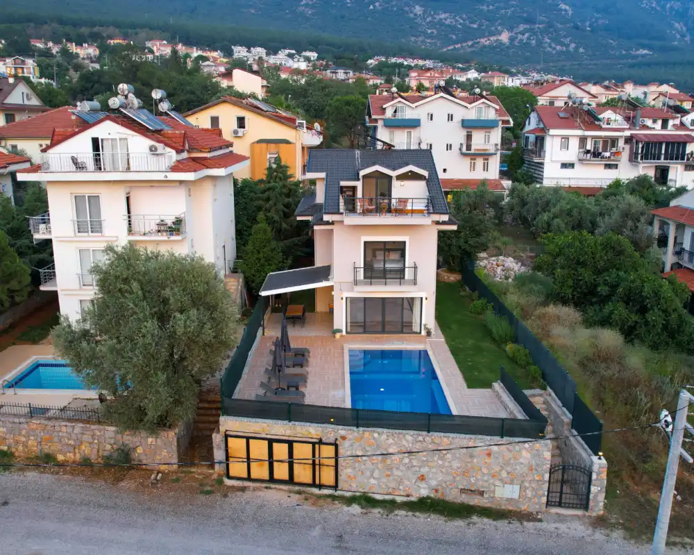 view-image