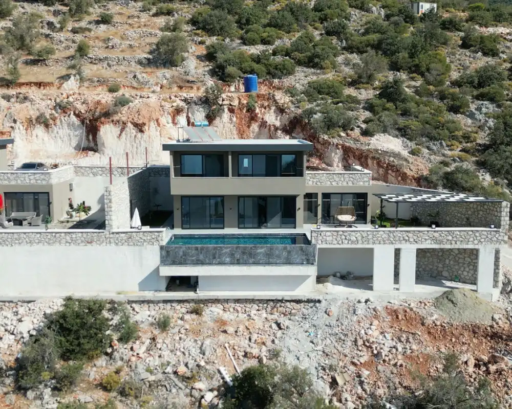 view-image