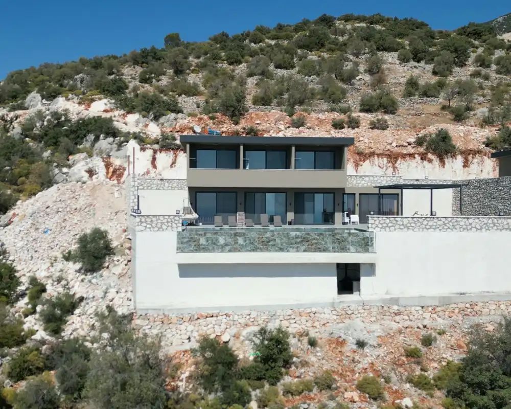 view-image