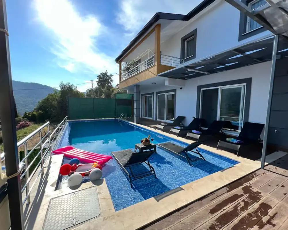 view-image