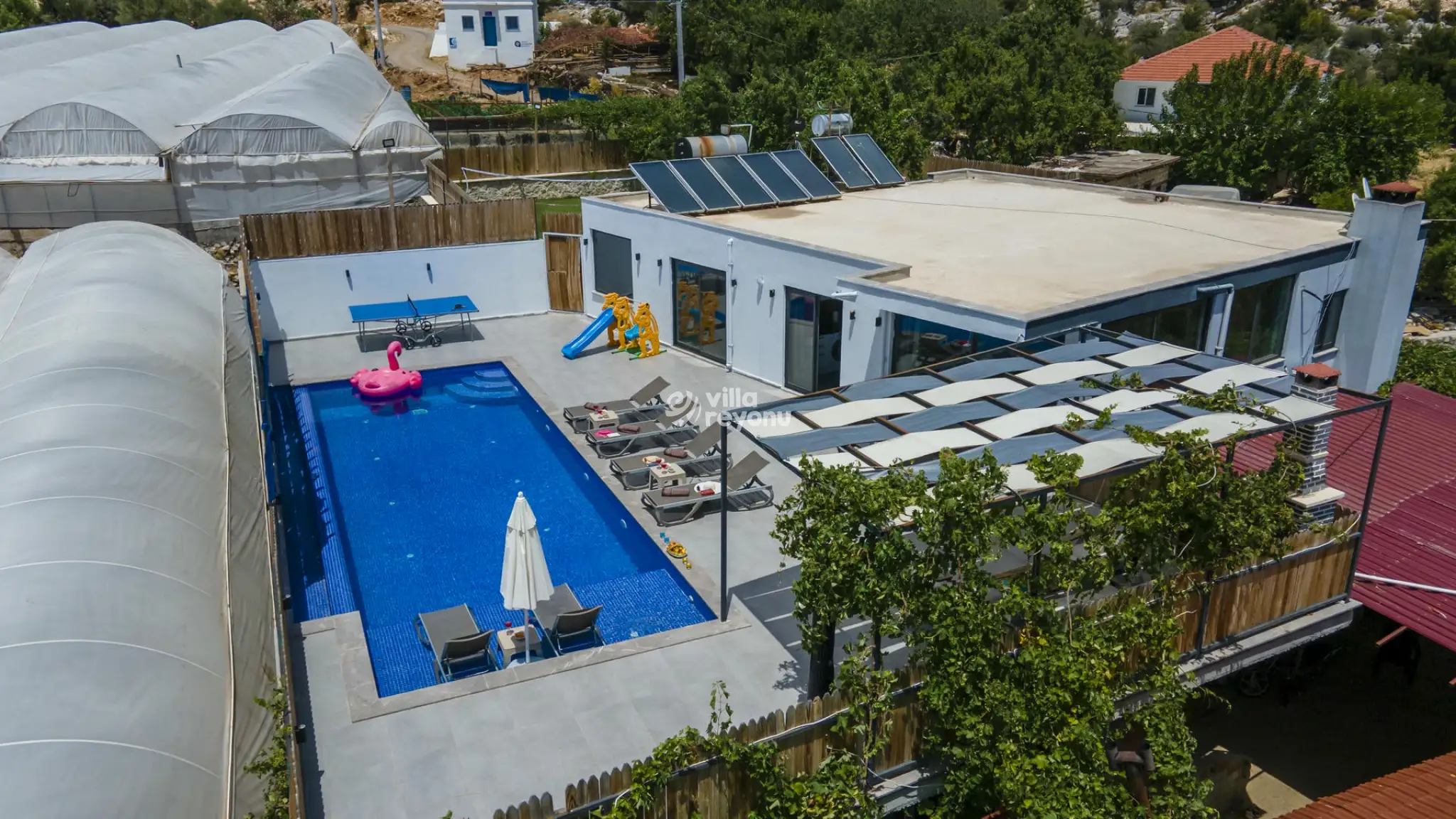 0DJi_0936_424.jpg