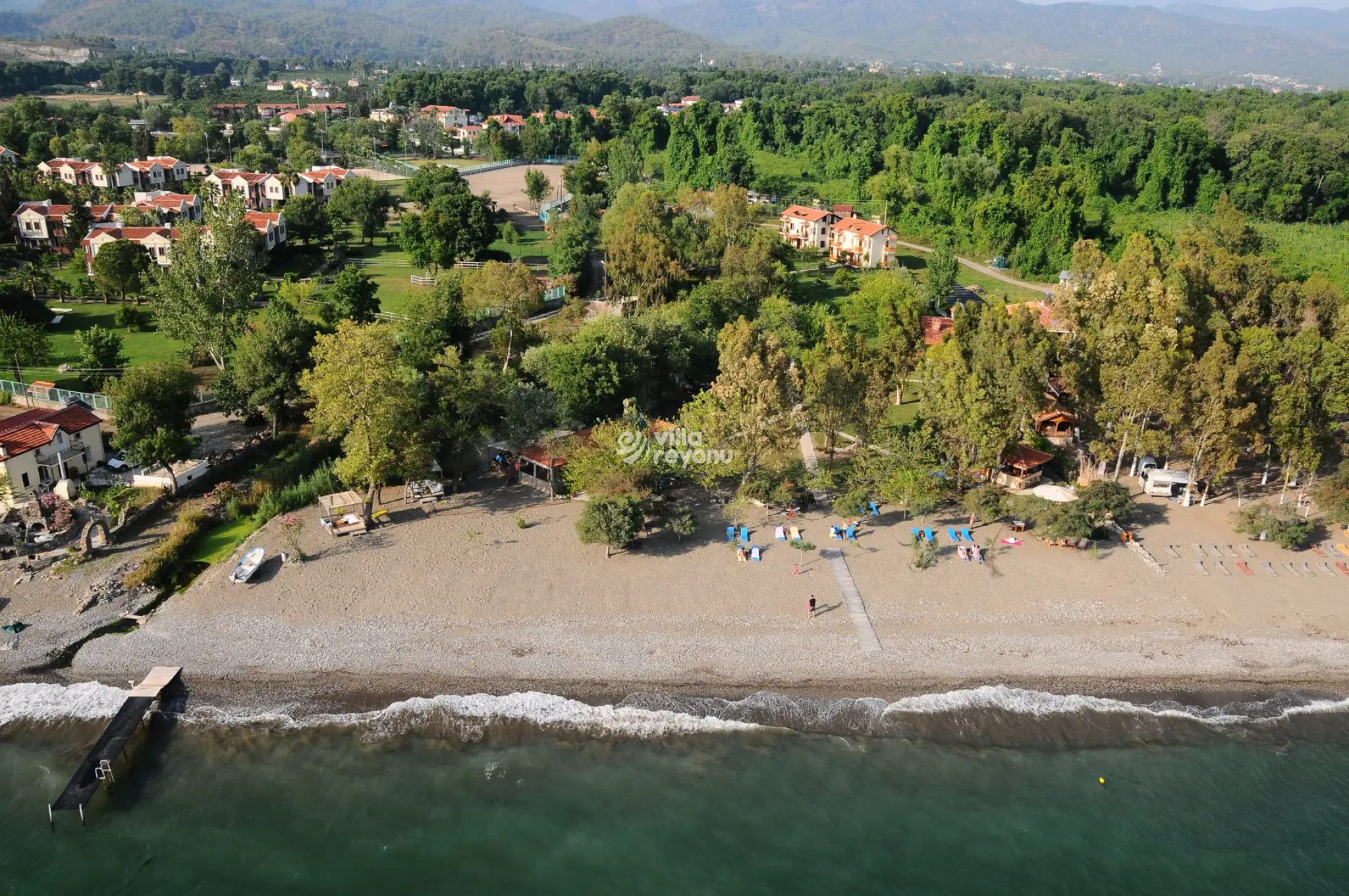 Yanıklar