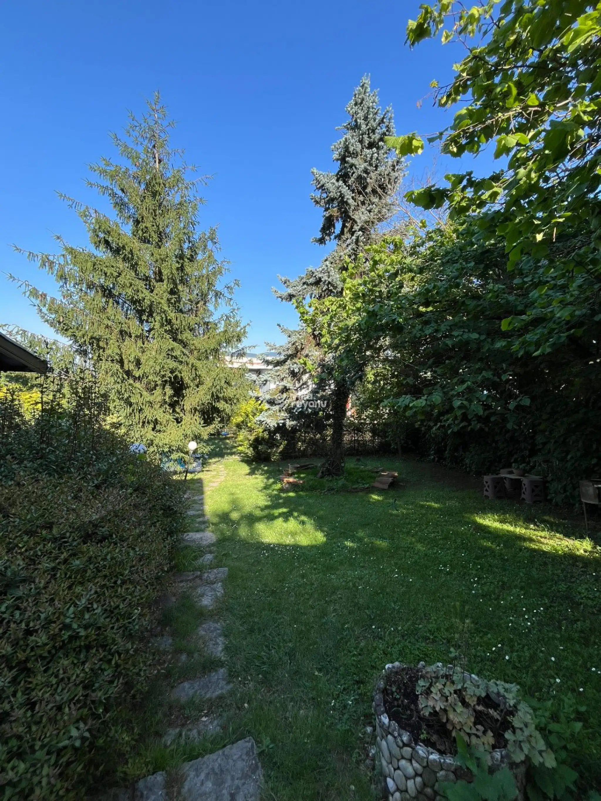 3be27e28-4943-483d-bc1d-7821b5741eec_859.jpg