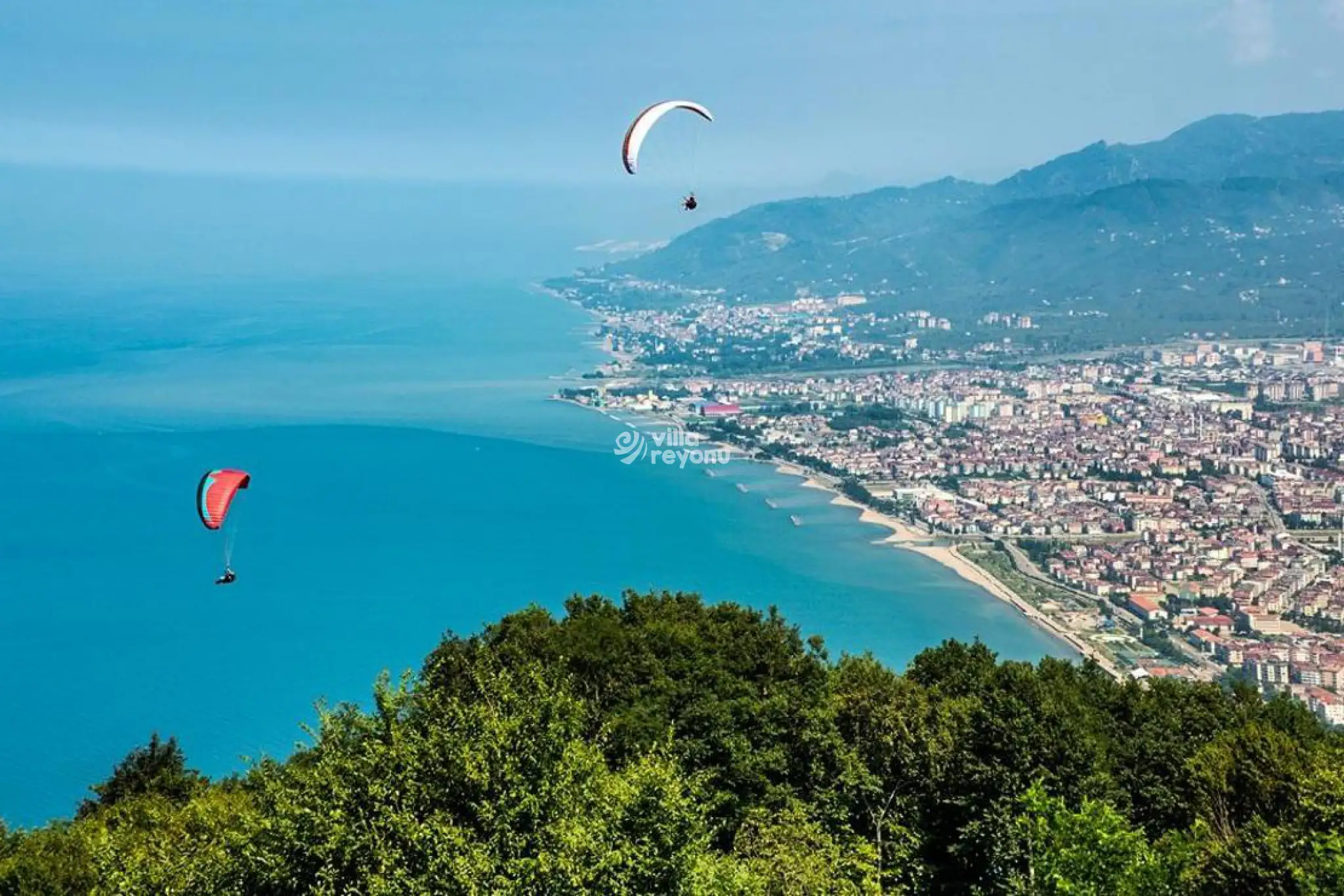 Ordu
