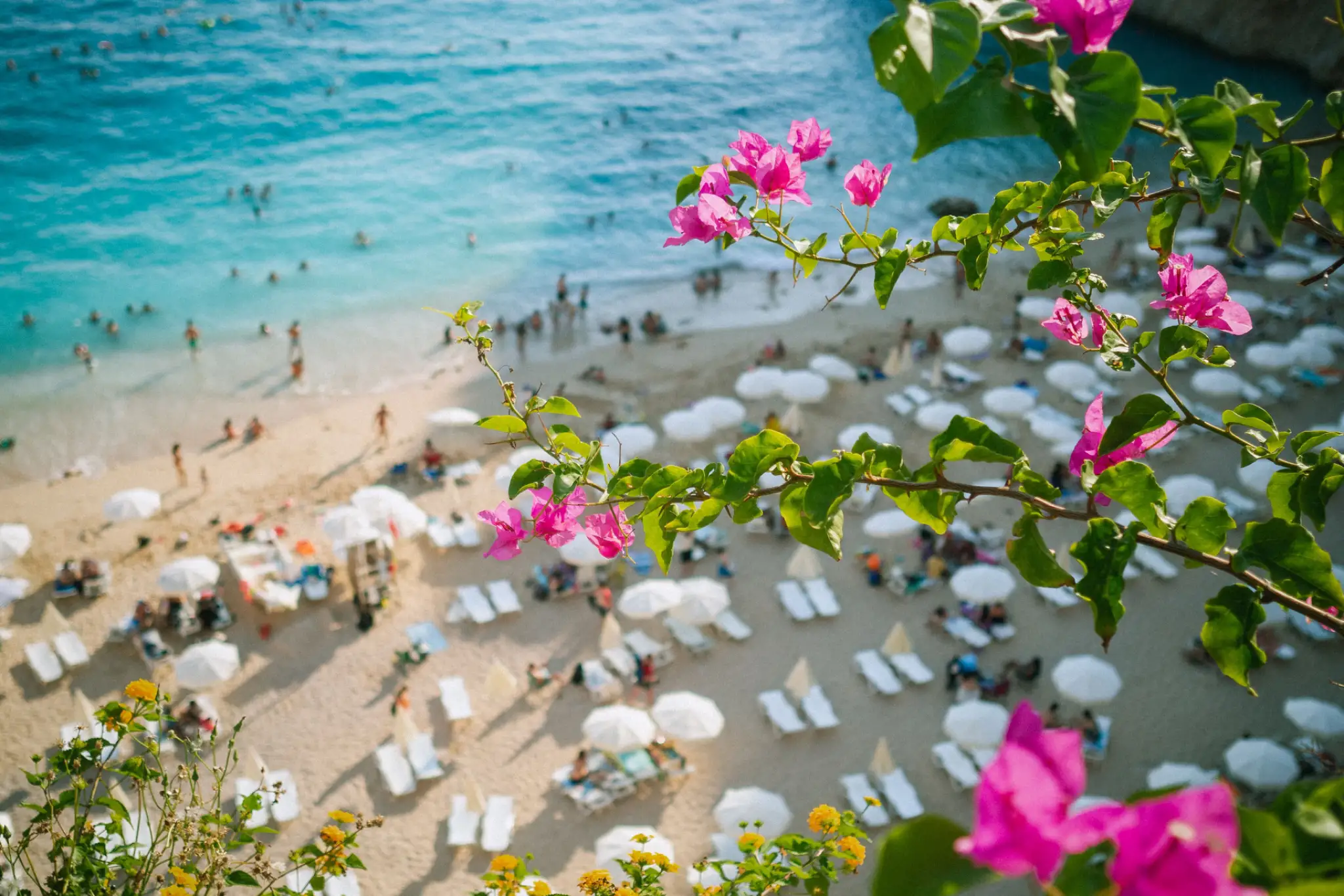 Kalkan
