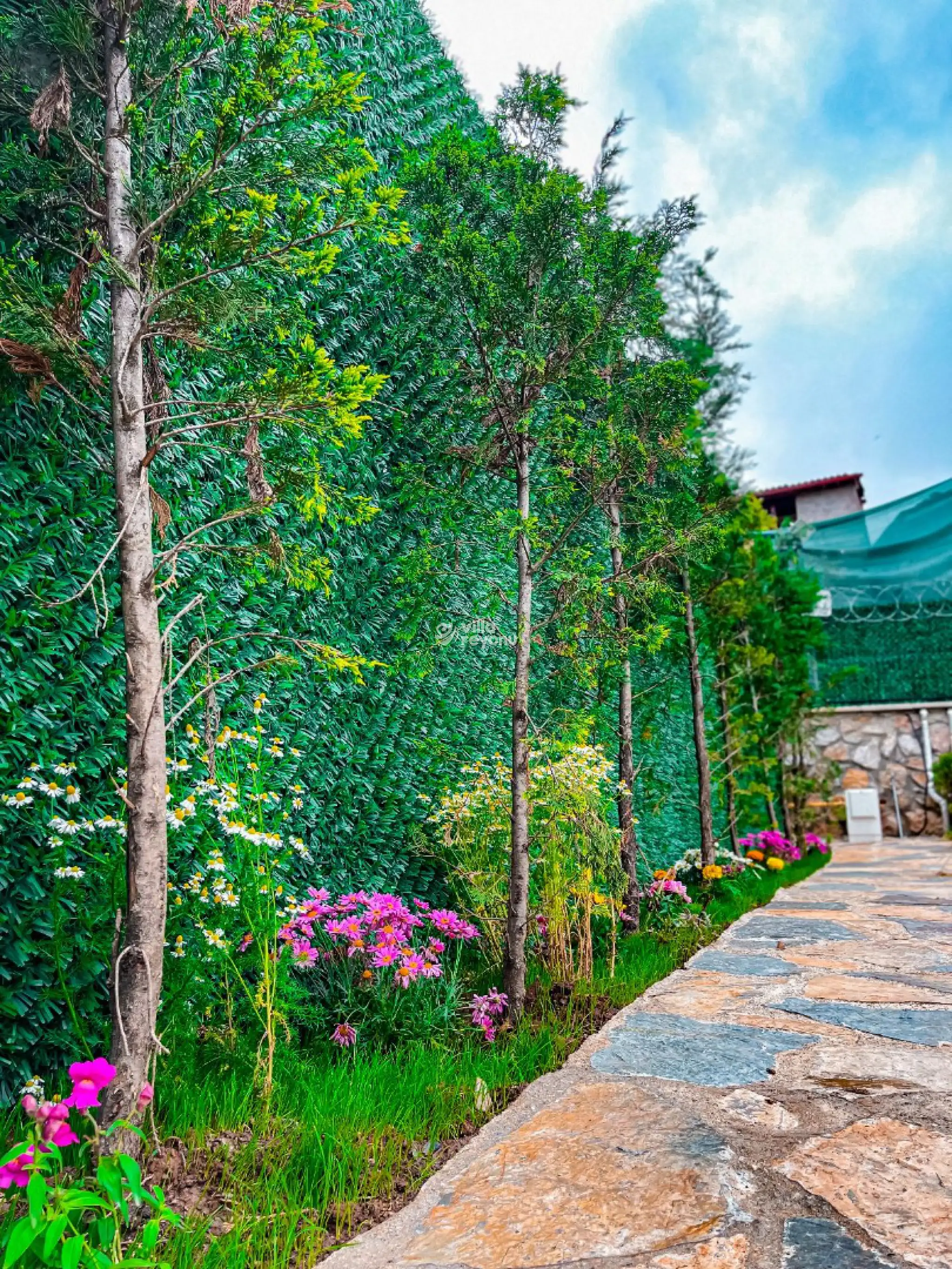 Bungalov-Gezgin-3-15_997.jpg