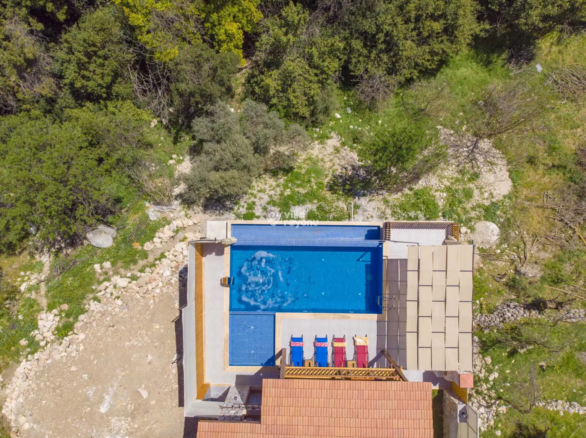 DJi_0729_88.jpg
