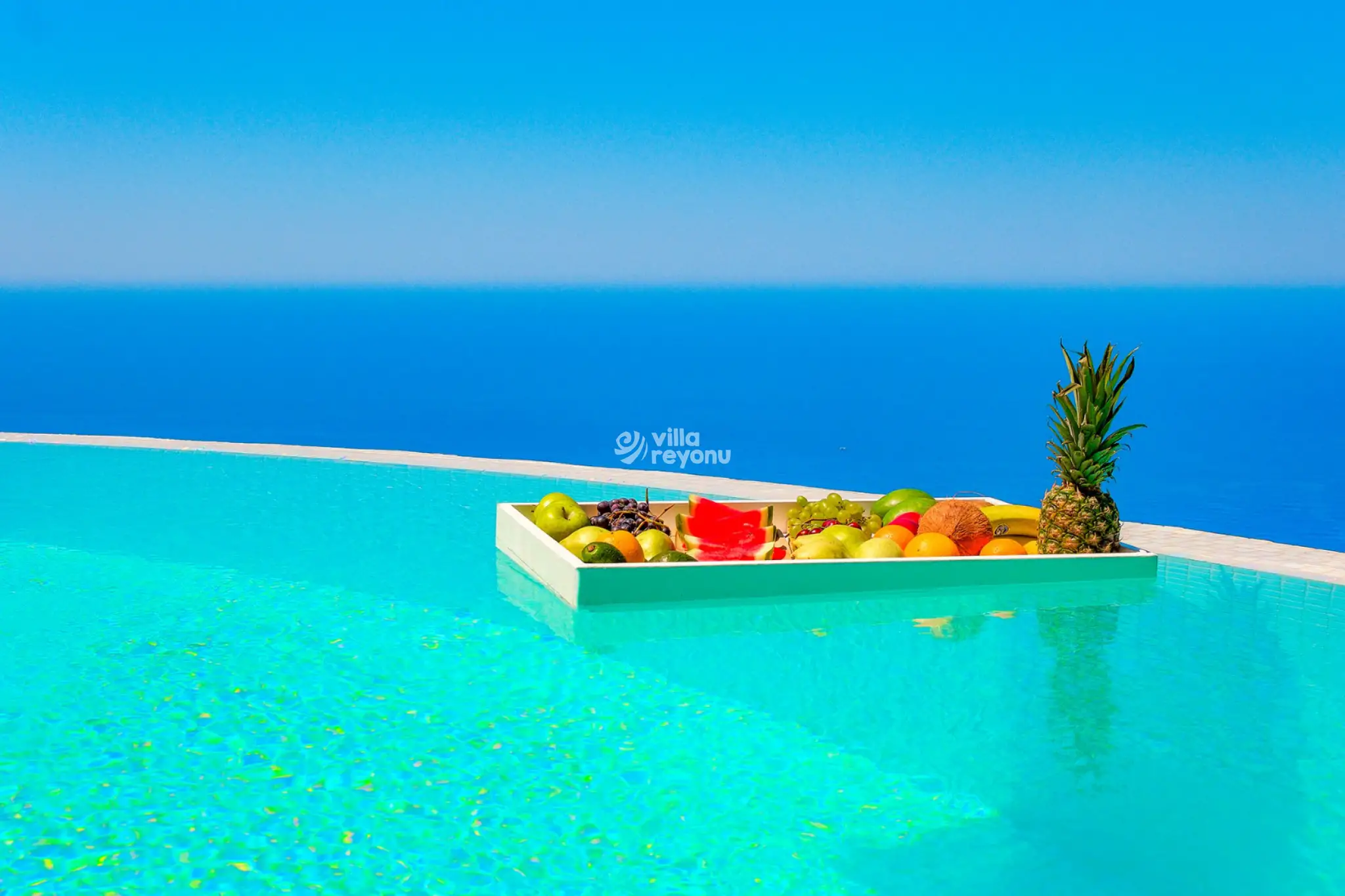 ERDi3232_17.jpg