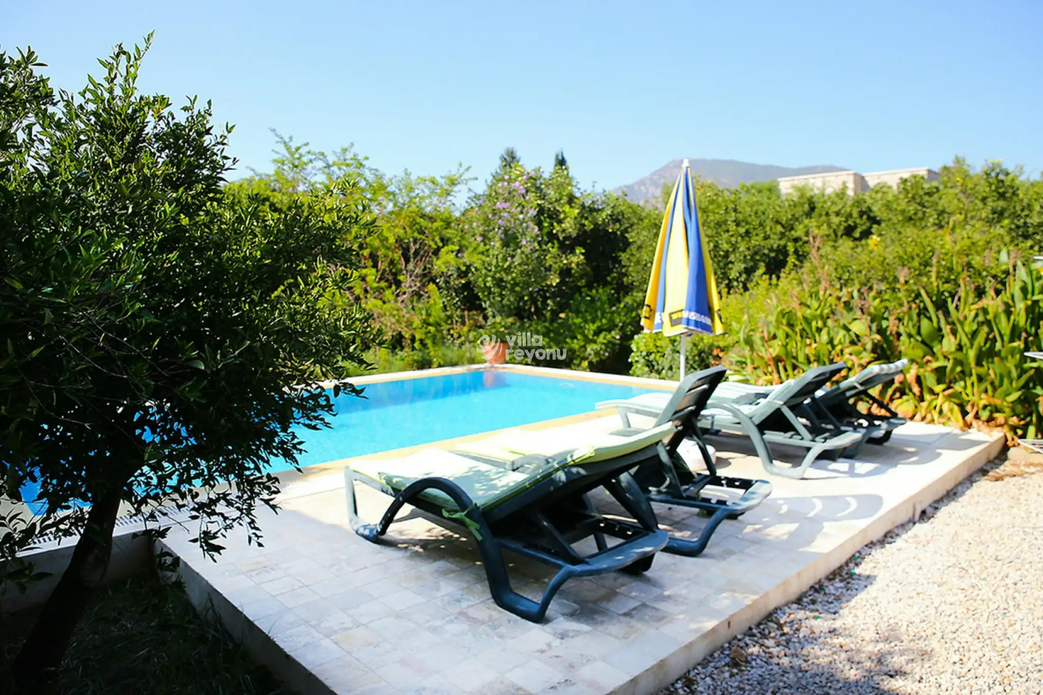 KARiA-25_646.jpg
