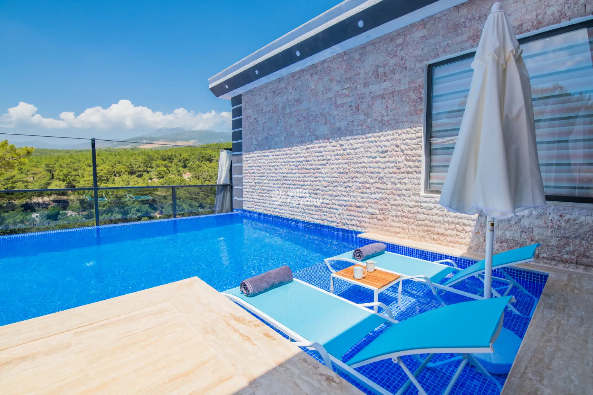 anemon-uno-4_198.jpg