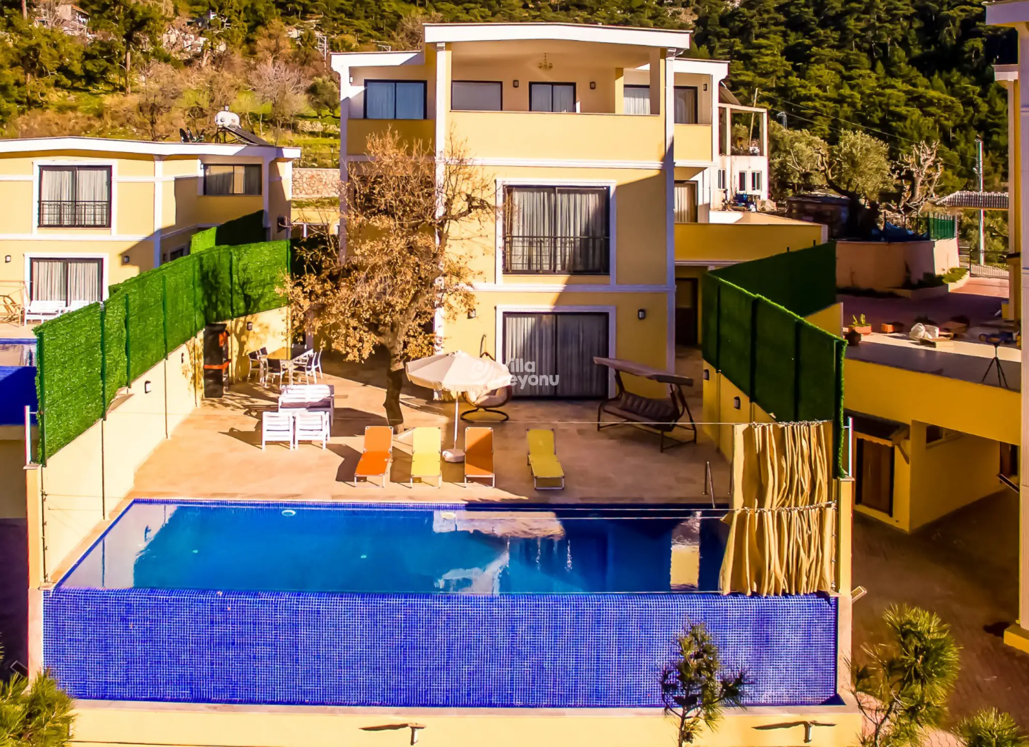dji_0018_715.jpg