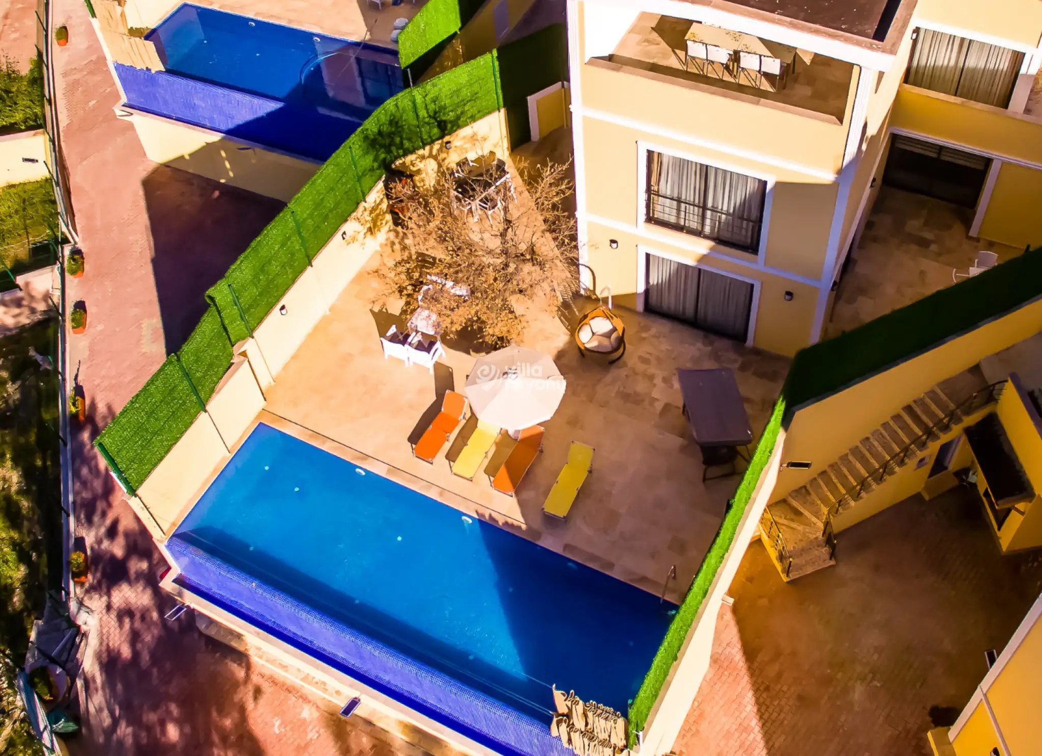 dji_0019_561.jpg