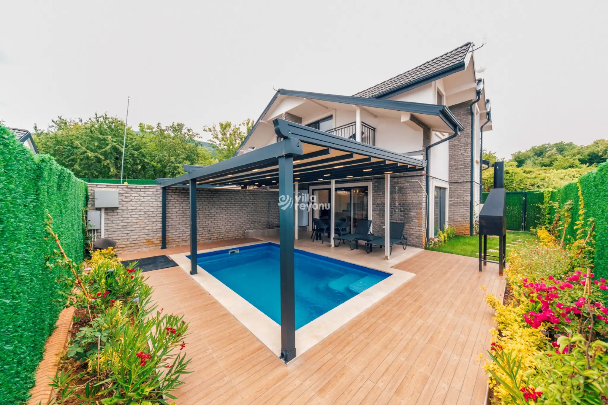 forest-k--b-ahhce-3_954.jpg