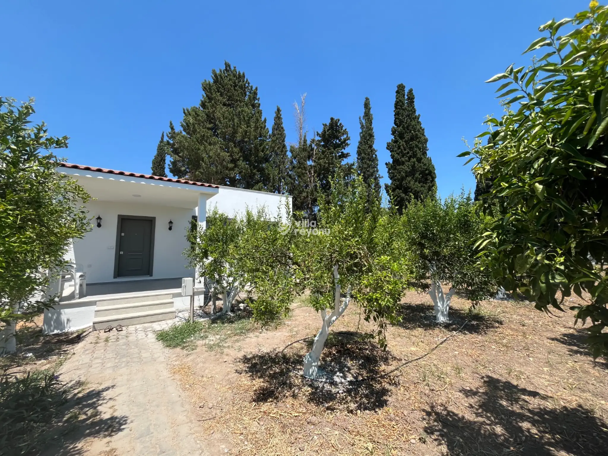 villa-minika-8_290.jpg