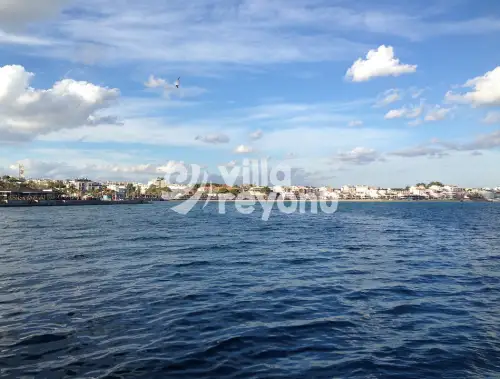Didim Plaj Rehberi: En Güzel Koylar ve Plajlar