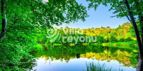 Sapanca Gölü Gezi Rehberi