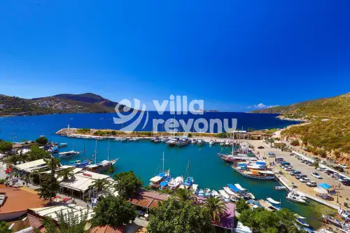 Kalkan