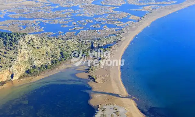 İztuzu Plajı Nerede ve Nasıl Gidilir? İztuzu Giriş Ücreti