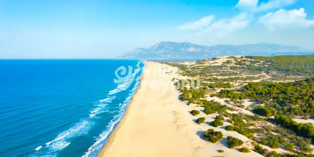 Patara