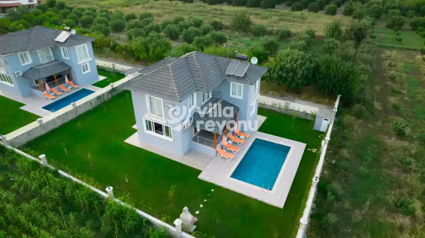 35_984.jpg