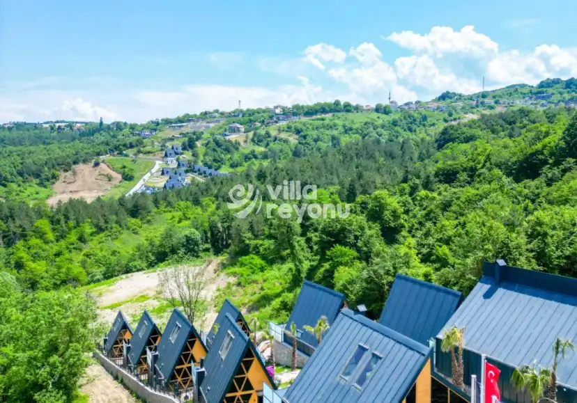 98d49981-e5be-440e-bfef-53c990175b54_939.jpg