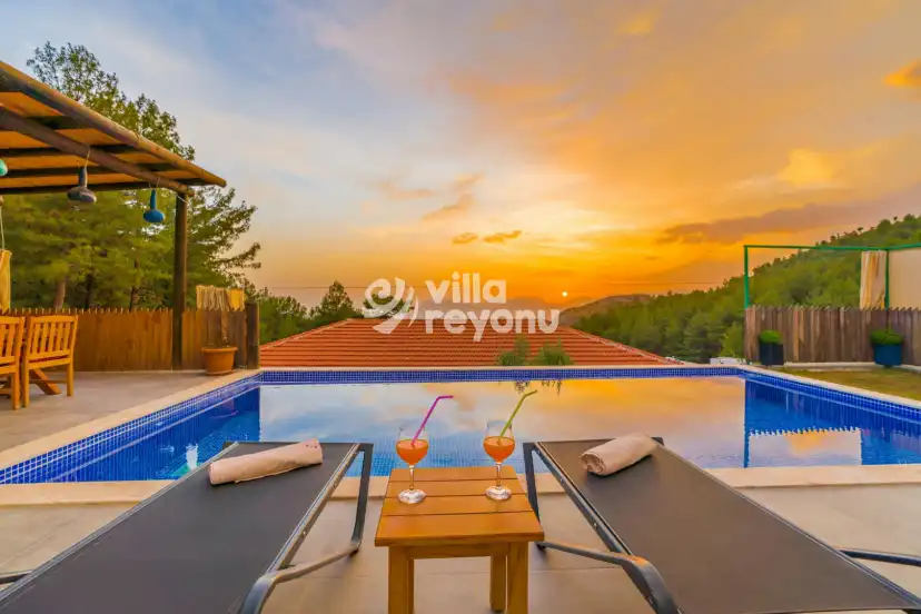DSC02534_528.JPG