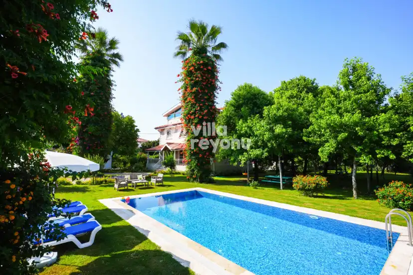 hayalperest-4_849.jpg