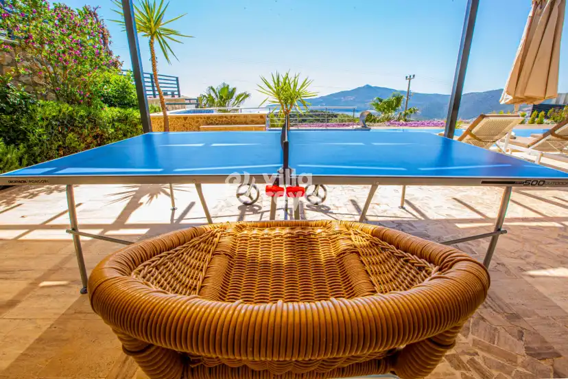 villa-tiger-exclusive-kalkan-49_290_4.jpg