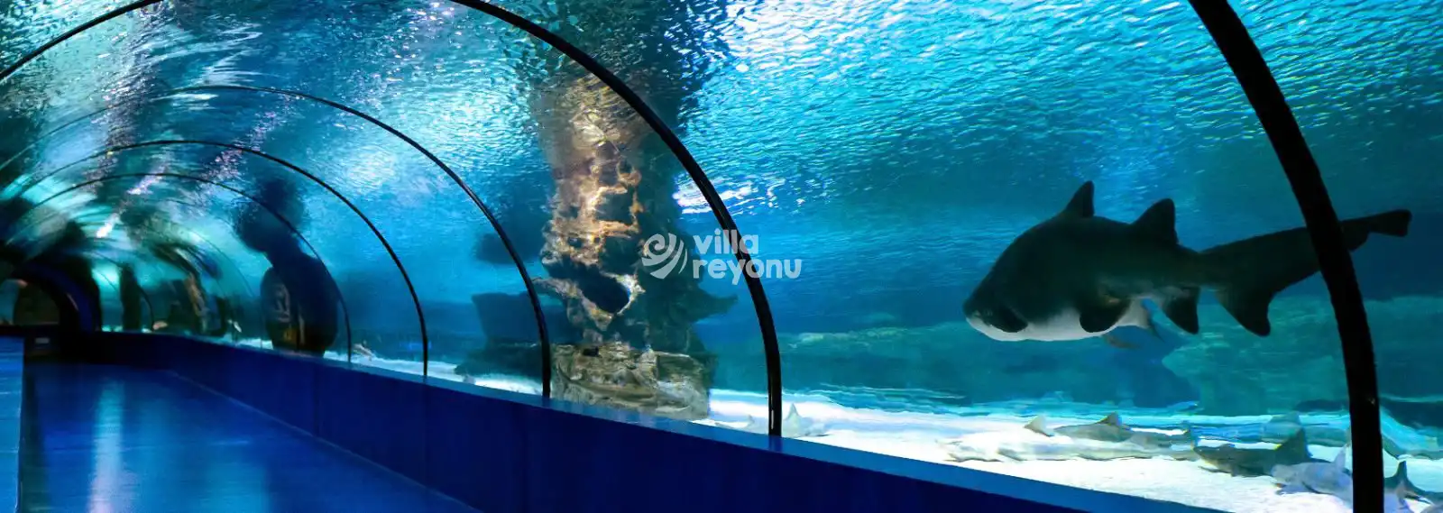 antalya aquarium