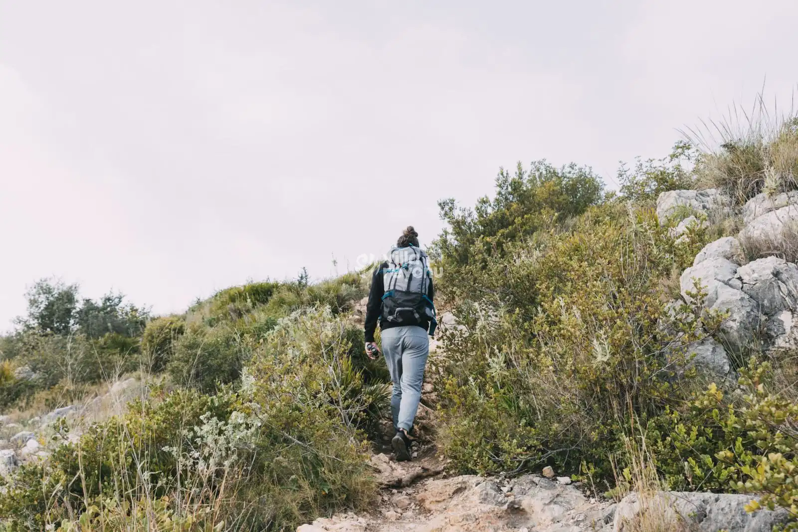 Doğada Yürüyüş Yapan Adam