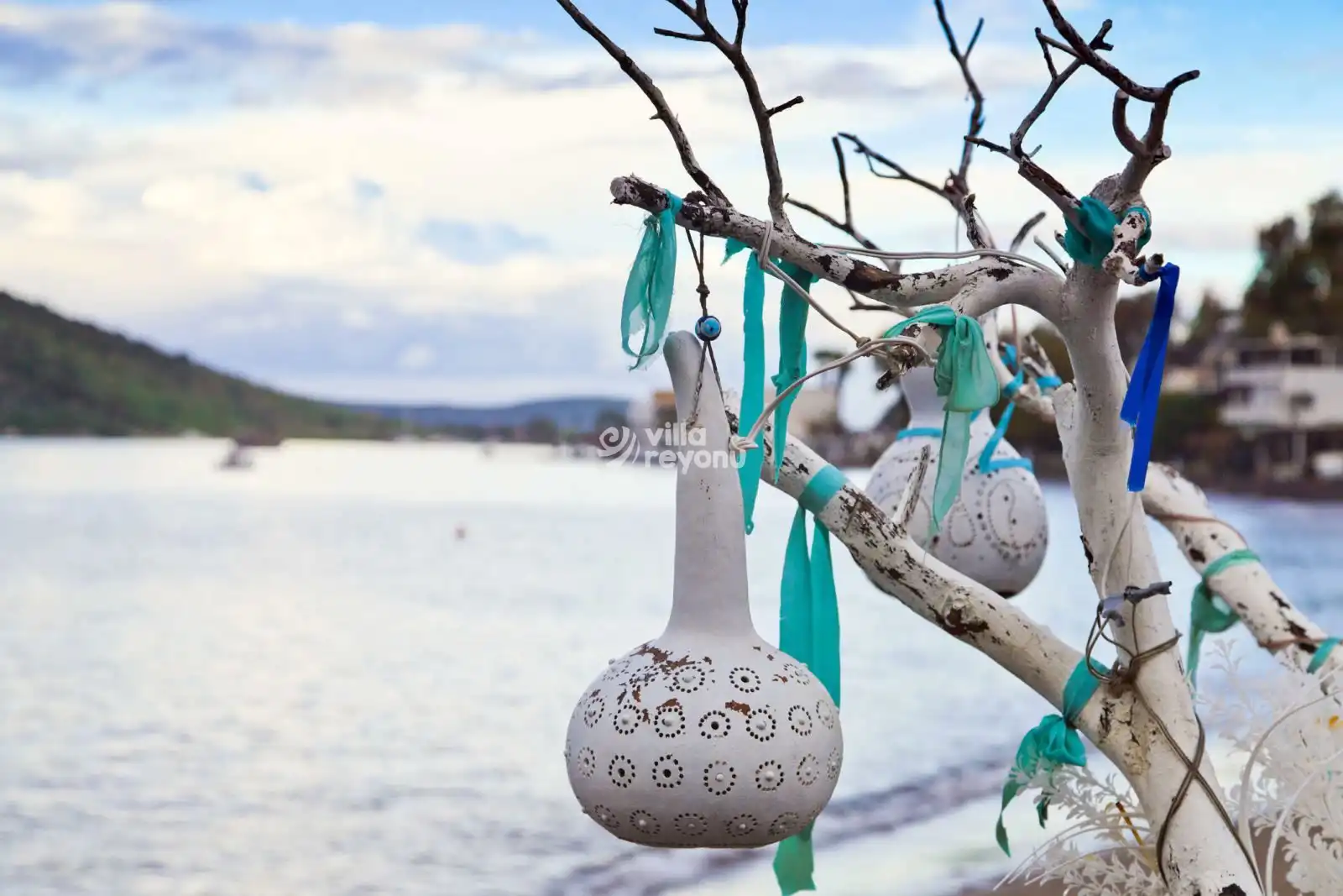 deniz kenarında ağaca asılmış bir el yapımı süs